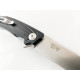 Ganzo FH21 - D2 сгъваем автоматичен джобен нож с дръжка G10