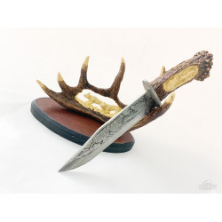 Колекционерски сувенирен нож с атрактивен и впечатляващ дизайн гравирани Вълци