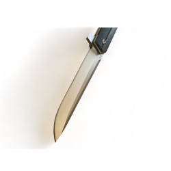 Сгъваем нож CH3500 - Изисканост и функционалност във Вашия джоб