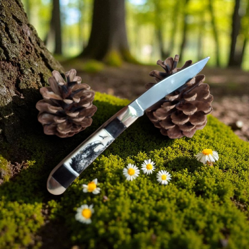 Нож Eagle Forest сред природна обстановка с шишарки и мъх Сгъваем нож с гравюра на орел – изглед върху дървена повърхност