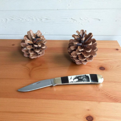 Сгъваем нож "Eagle Forest" – 18.5 см, 65Х13 стомана и дръжка с гравюра