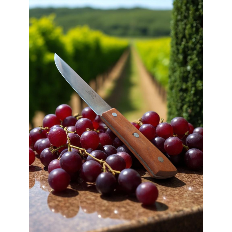 Кухненски нож ZC-02 с дървена дръжка – опаковка и продукт Chef Knife ZC-02 от FREESHEEP – професионален кухненски стил