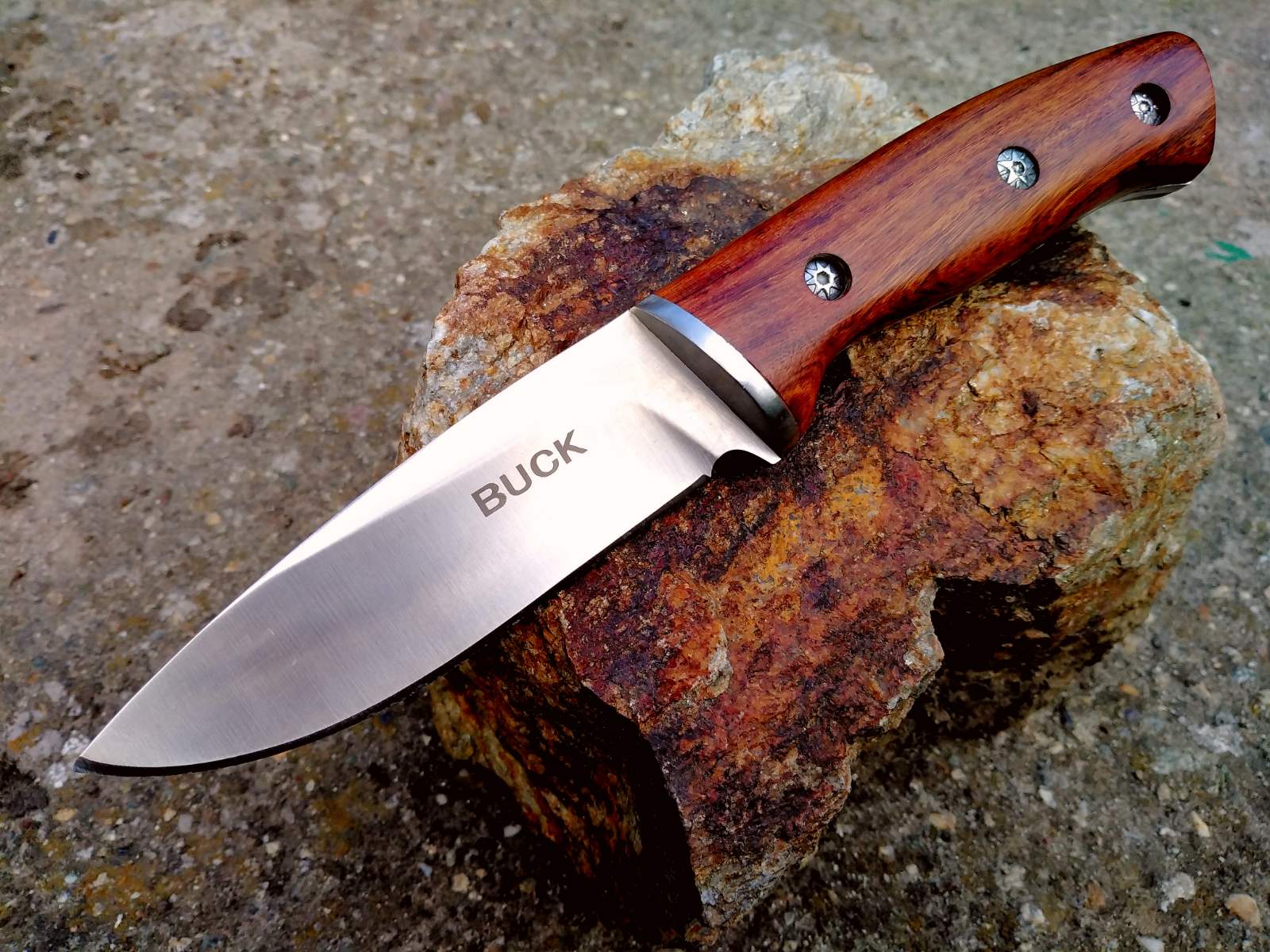 Ловен нож масивен фултанг Buck