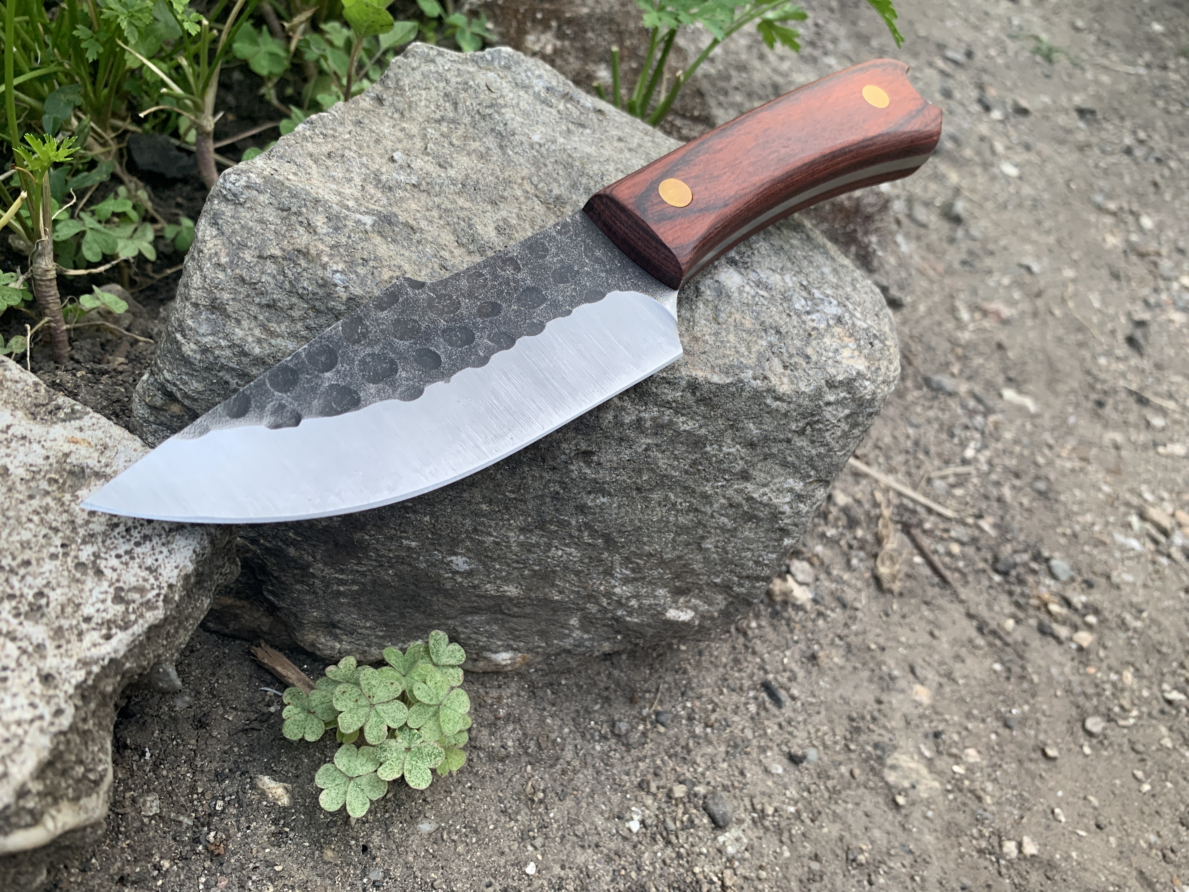 Ловен нож Knives FB1764G с фиксирано острие и дървена дръжка Ловен нож Knives FB1764G с фиксирано острие и дървена дръжка