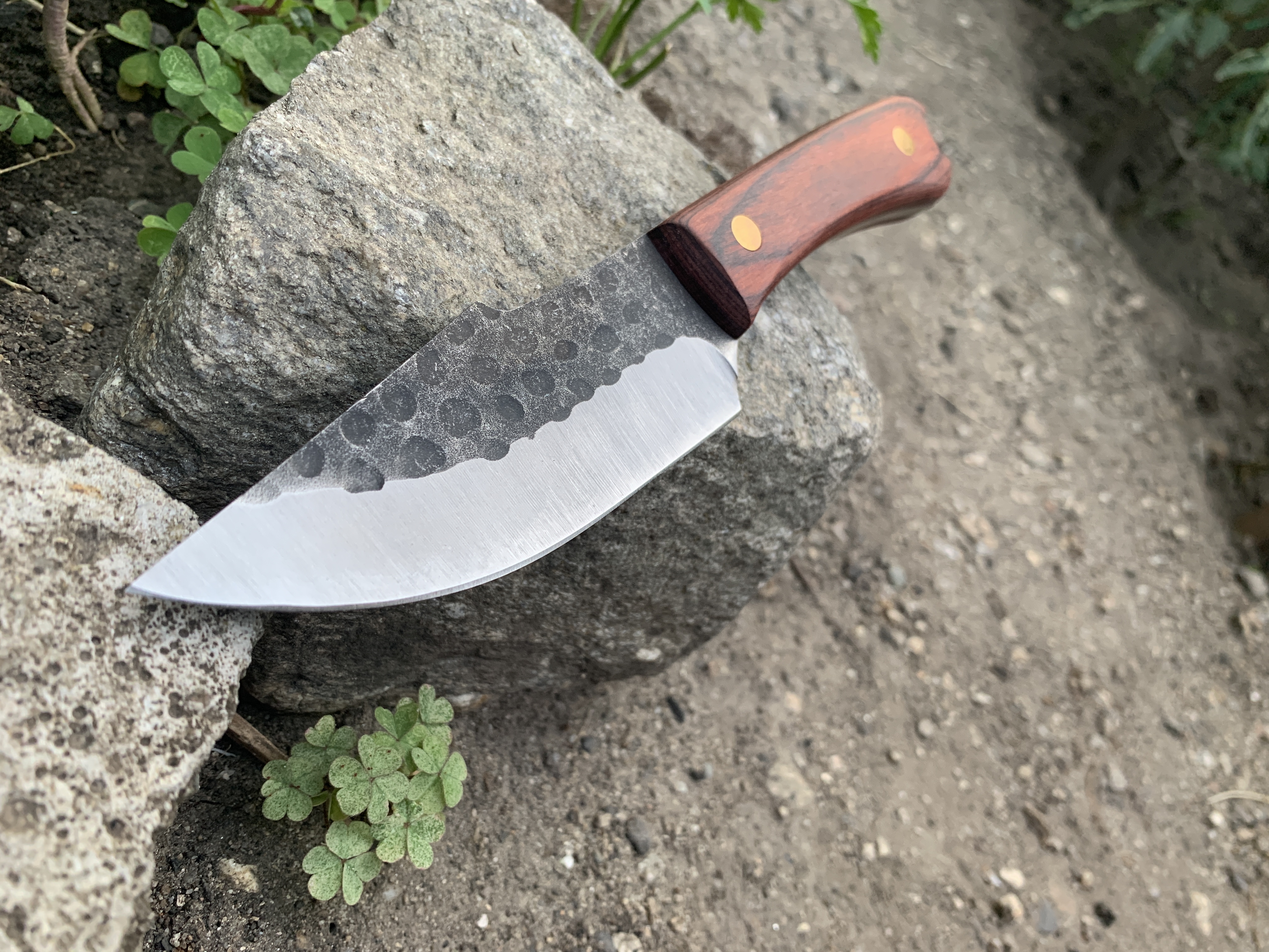 Ловен нож Knives FB1764G с фиксирано острие и дървена дръжка Ловен нож Knives FB1764G с фиксирано острие и дървена дръжка