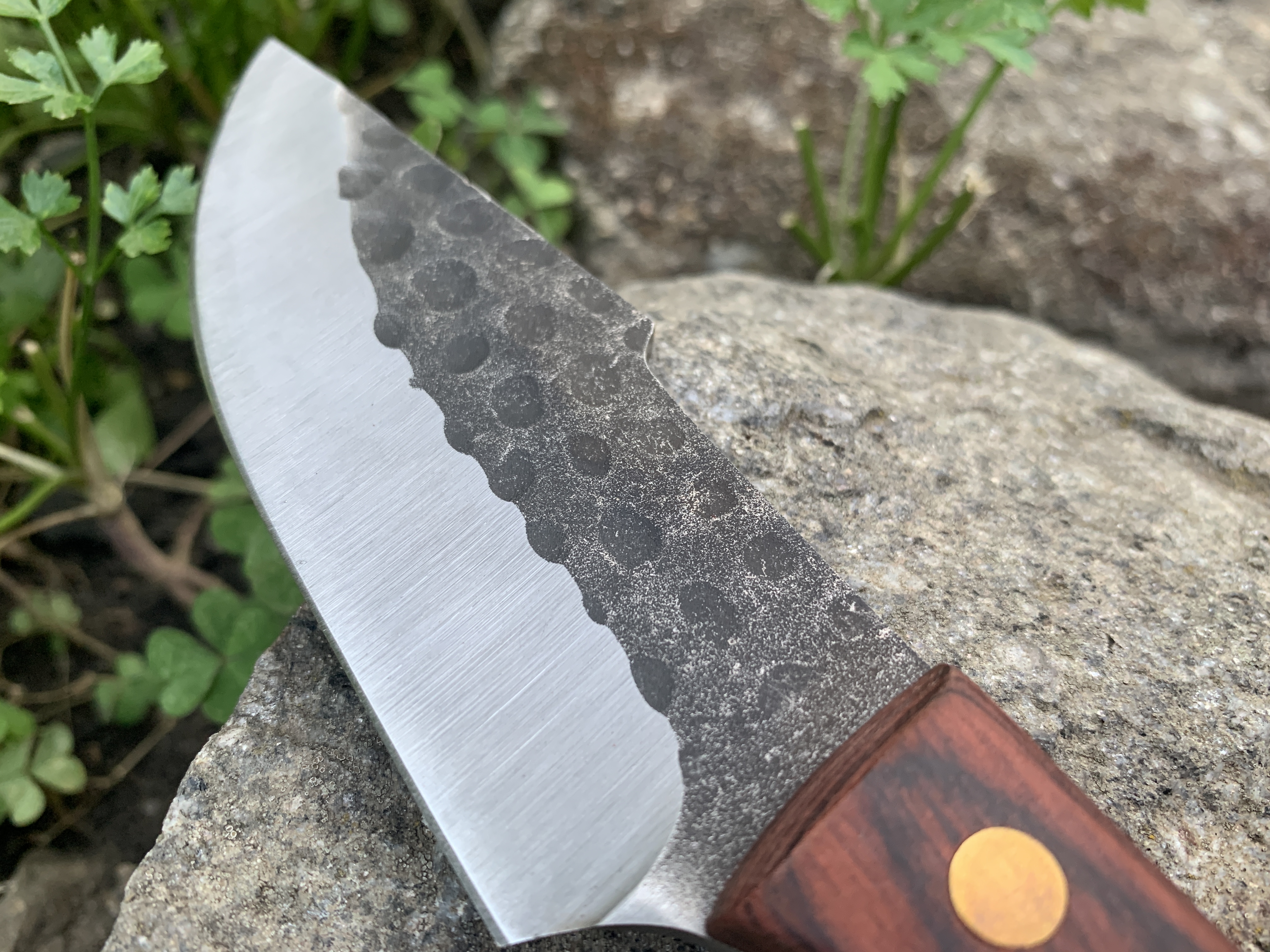 Ловен нож Knives FB1764G с фиксирано острие и дървена дръжка Ловен нож Knives FB1764G с фиксирано острие и дървена дръжка